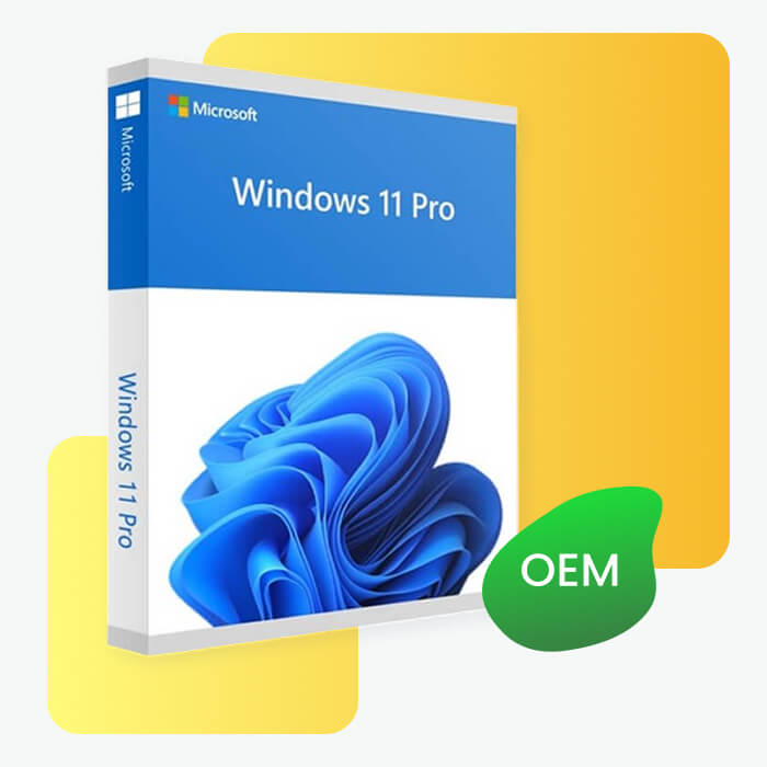 Windows 11 Pro OEM